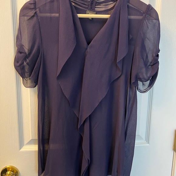 Elegant Sheer Purple Blouse - Picture 1 of 3